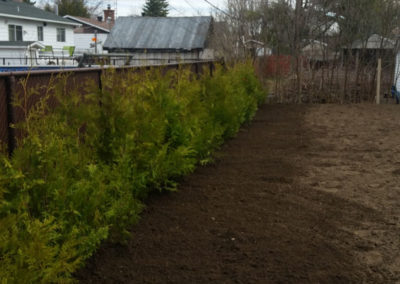 Plantation Entretien paysager à St-Jérôme et ses environs - Paysagement Emmanuel Mathieu Dupont St-Jérôme