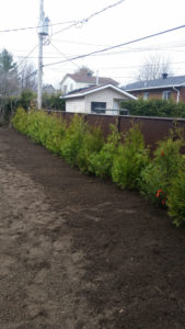 Plantation aménagement paysager St-Jérôme - Paysagement Emmanuel Mathieu Dupont St-Jérôme