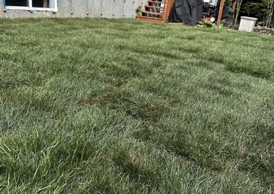 Pose de tourbe et de gazon à Saint-Jérôme - Paysagement Émmanuel Dupont